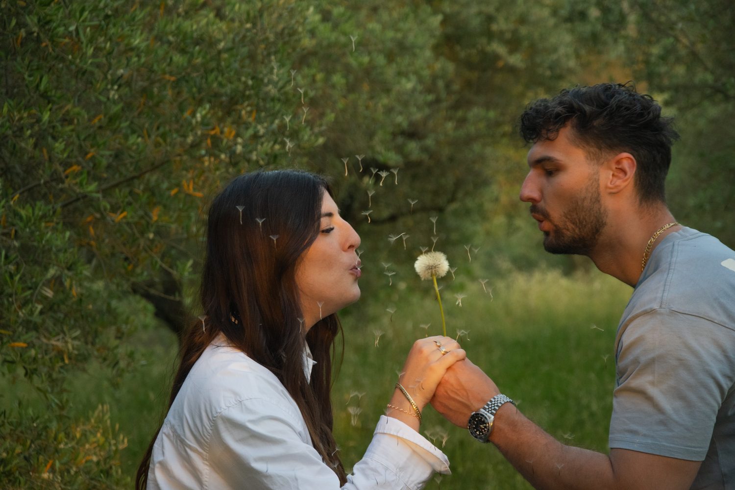 Couple de profil dans une oliveraie à la lumière dorée